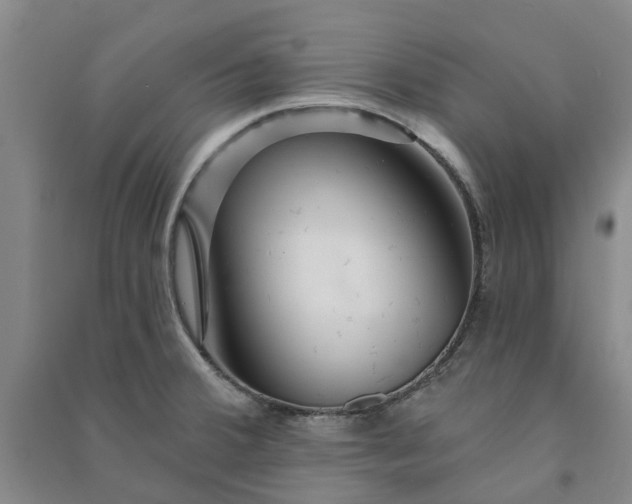 X0000090951380200708161747
