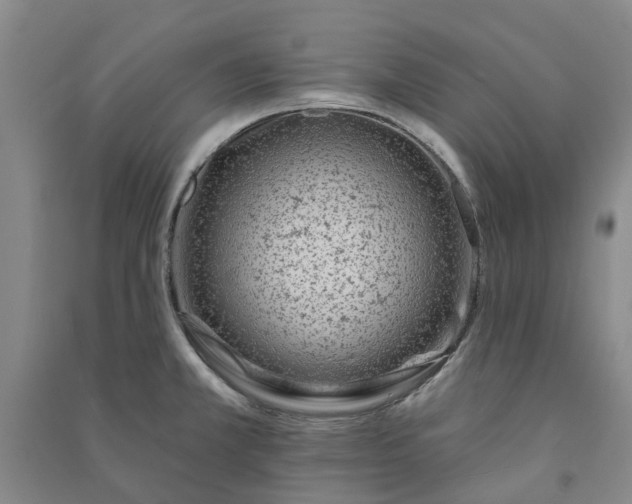 X0000090951381200708161747