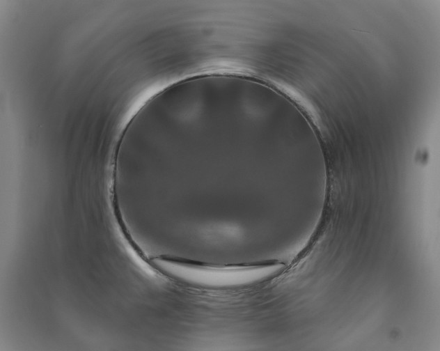 X0000090951383200708161747