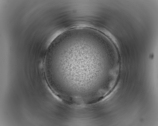 X0000090951385200708161747