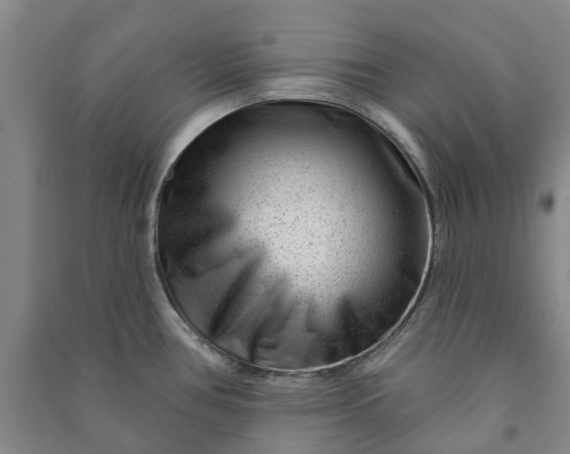 X0000090951386200708161747