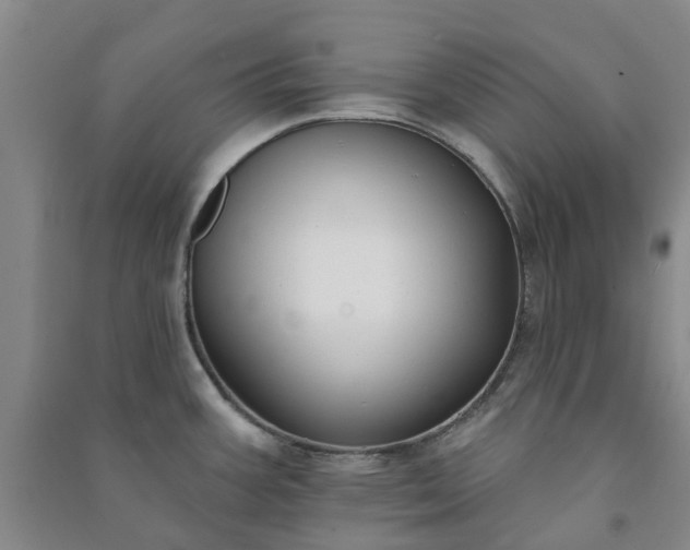 X0000090951387200708161747