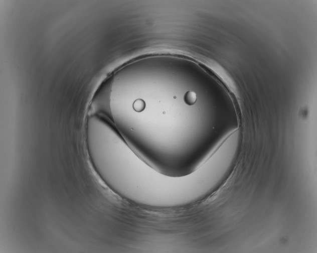 X0000090951388200708161747