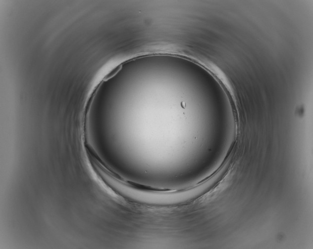 X0000090951389200708161747