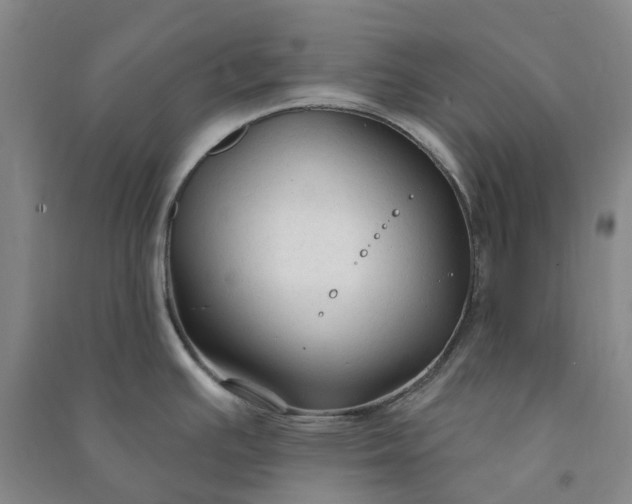 X0000090951391200708161747