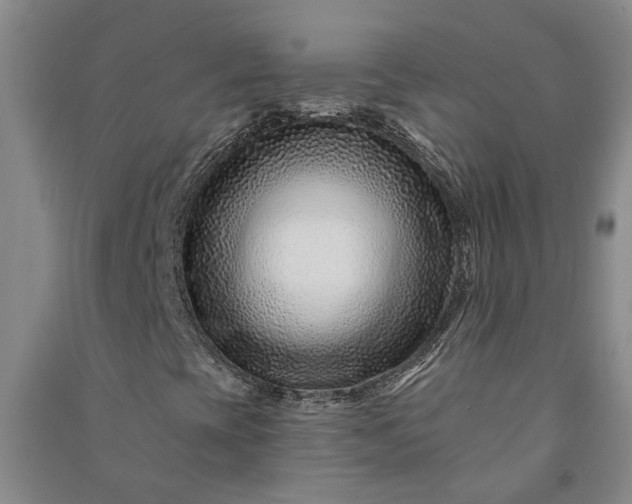 X0000090951393200708161747