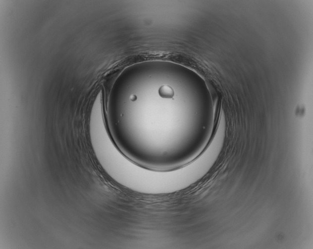 X0000090951394200708161747