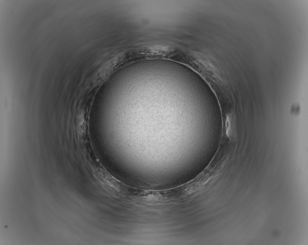 X0000090951395200708161747