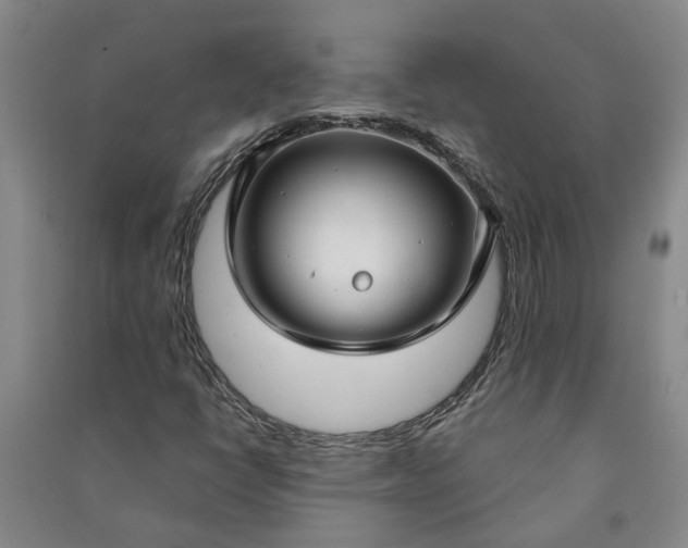 X0000090951398200708161747