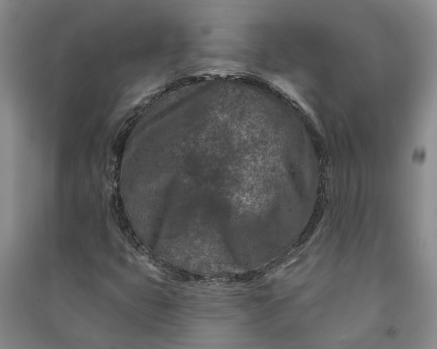 X0000090951399200708161747