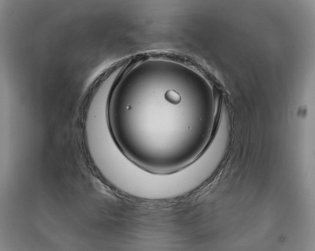 X0000090951400200708161747