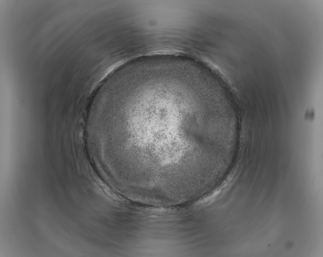 X0000090951401200708161747