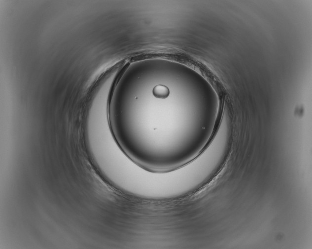 X0000090951402200708161747
