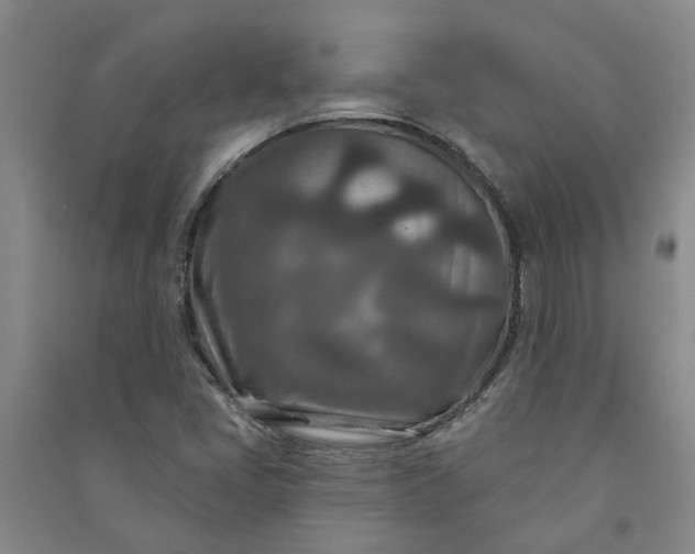 X0000090951405200708161747