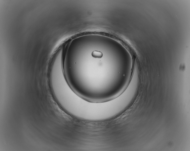 X0000090951408200708161747
