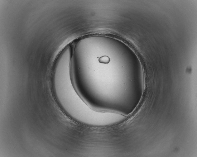 X0000090951410200708161747