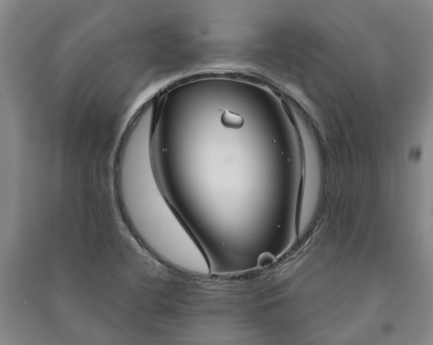X0000090951412200708161747