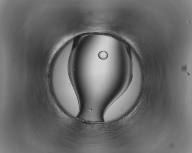 X0000090951414200708161747