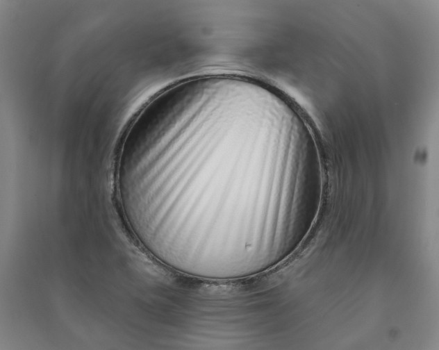 X0000090951415200708161747