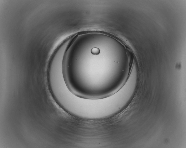 X0000090951416200708161747