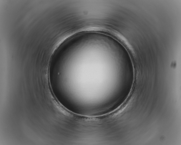 X0000090951417200708161747
