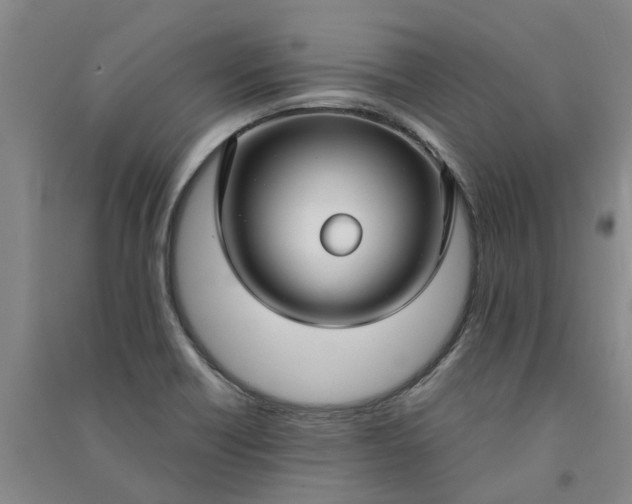 X0000090951418200708161747
