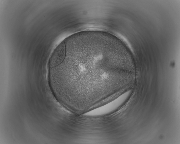 X0000090951419200708161747