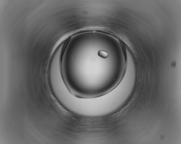 X0000090951420200708161747