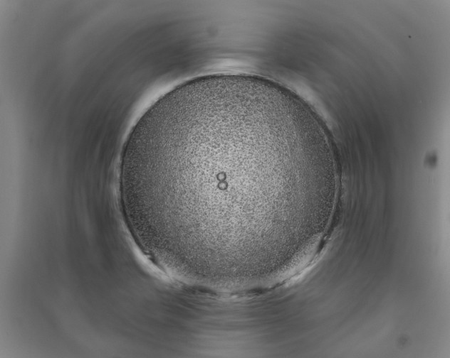 X0000090951421200708161747