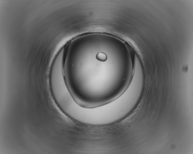 X0000090951424200708161747