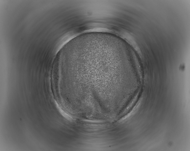 X0000090951425200708161747