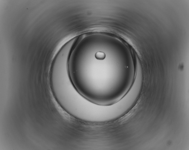 X0000090951426200708161747
