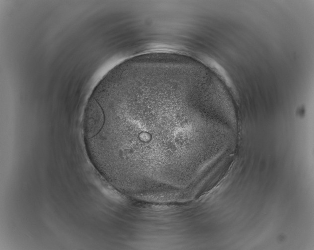 X0000090951427200708161747