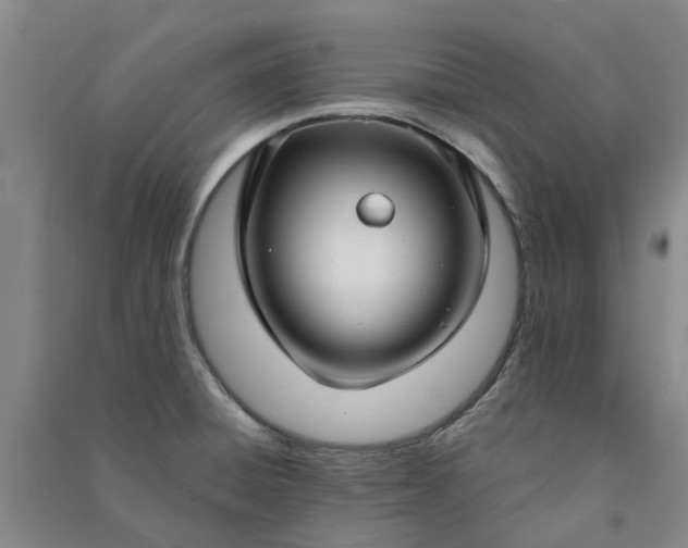 X0000090951428200708161747
