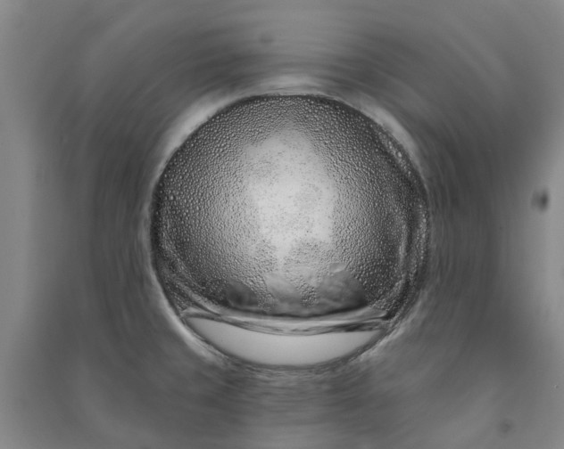 X0000090951429200708161747