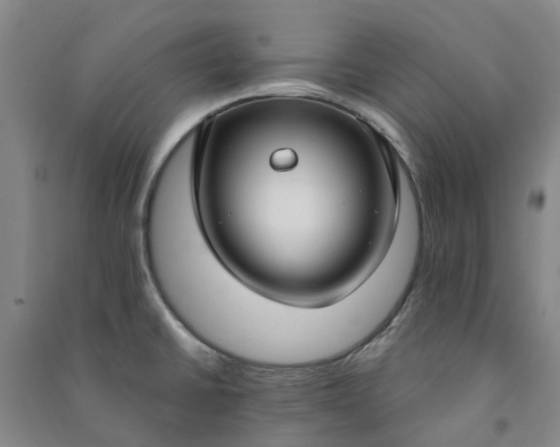 X0000090951430200708161747