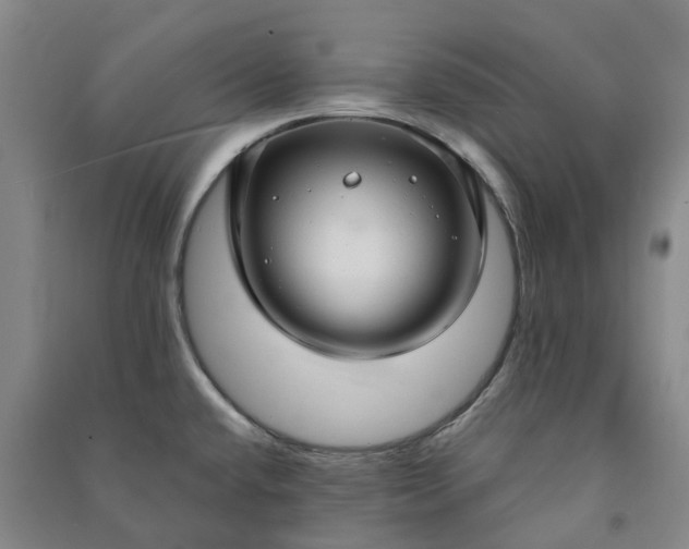 X0000090951432200708161747
