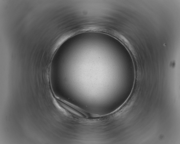 X0000090951433200708161747