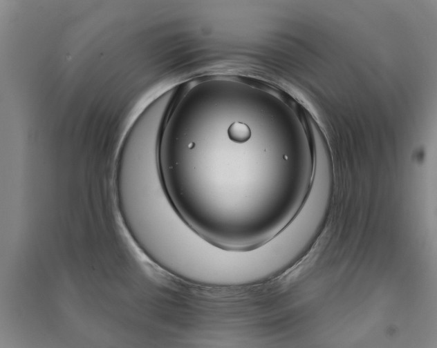X0000090951434200708161747
