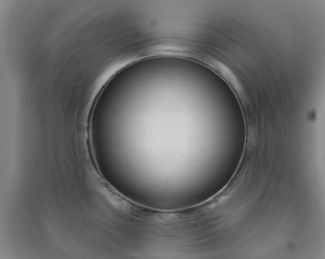 X0000090951435200708161747