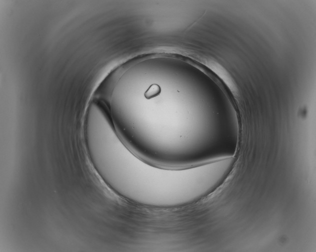 X0000090951436200708161747