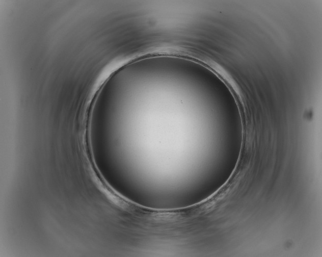 X0000090951437200708161747