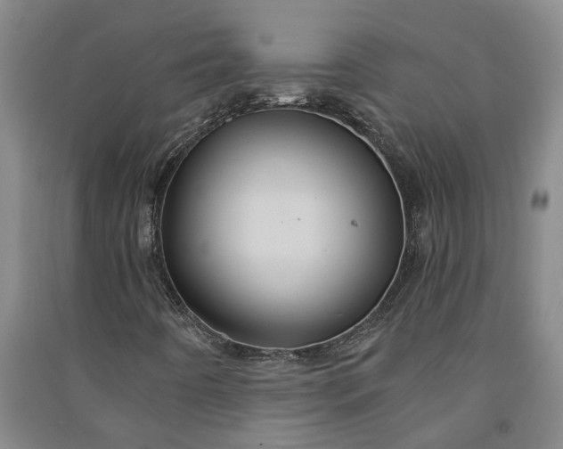 X0000090951442200708161747