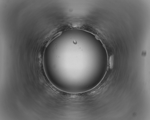 X0000090951443200708161746