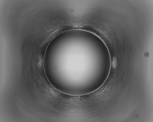 X0000090951444200708161746