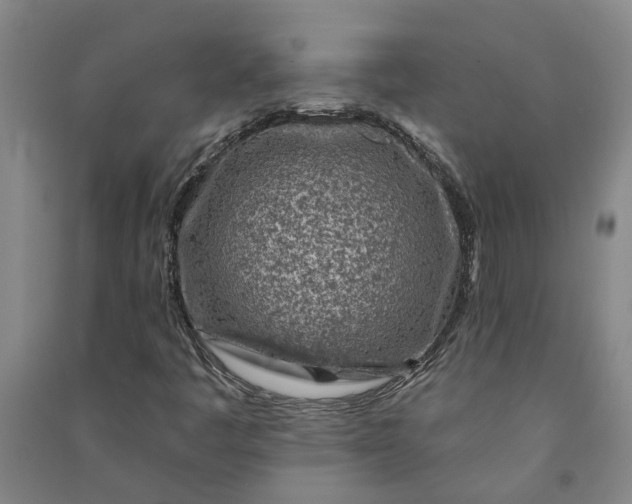 X0000090951445200708161746
