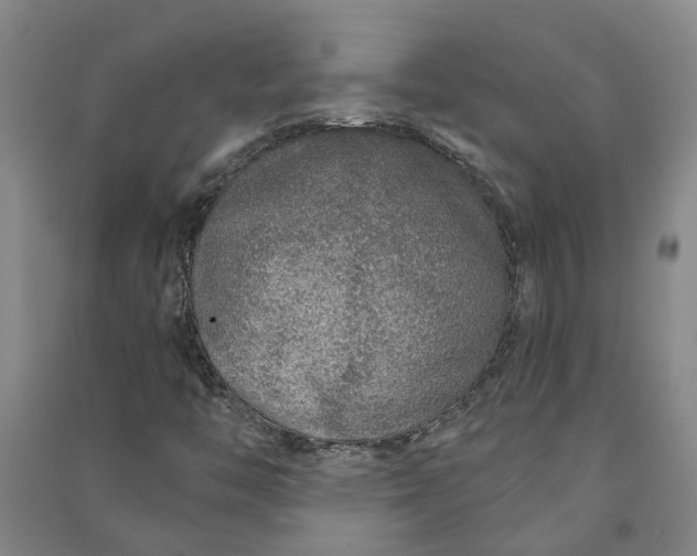 X0000090951446200708161746