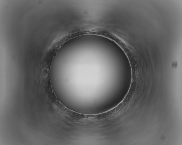 X0000090951447200708161746