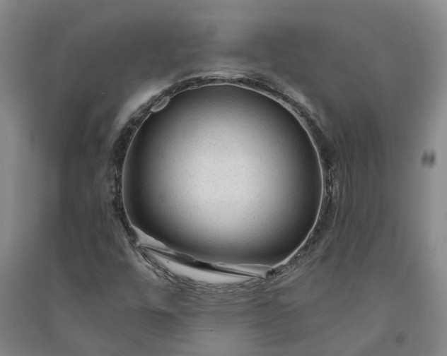 X0000090951448200708161746