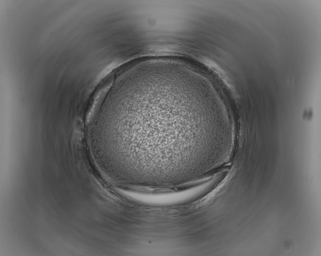 X0000090951449200708161746